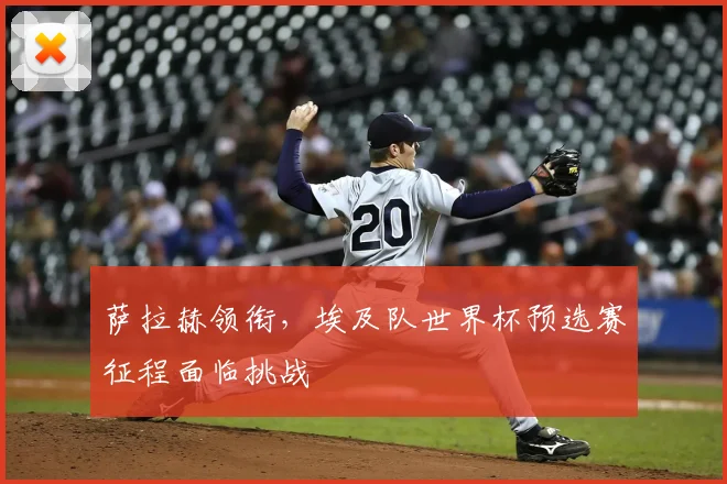 萨拉赫领衔，埃及队世界杯预选赛征程面临挑战