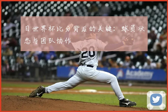 日世界杯比分背后的关键：球员状态与团队协作