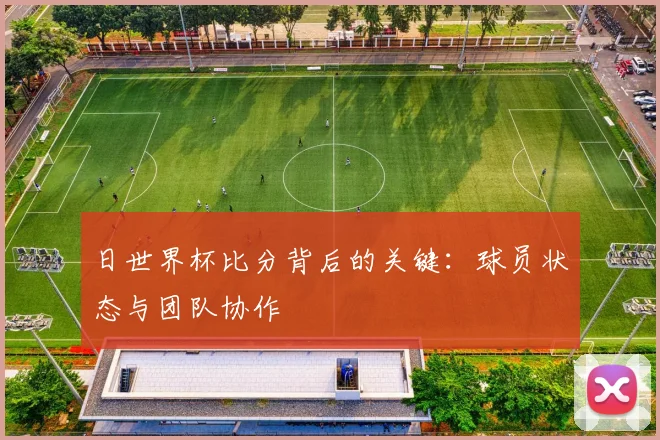 日世界杯比分背后的关键：球员状态与团队协作