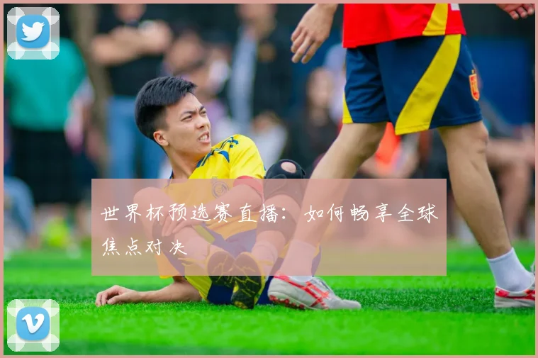 世界杯预选赛直播：如何畅享全球焦点对决