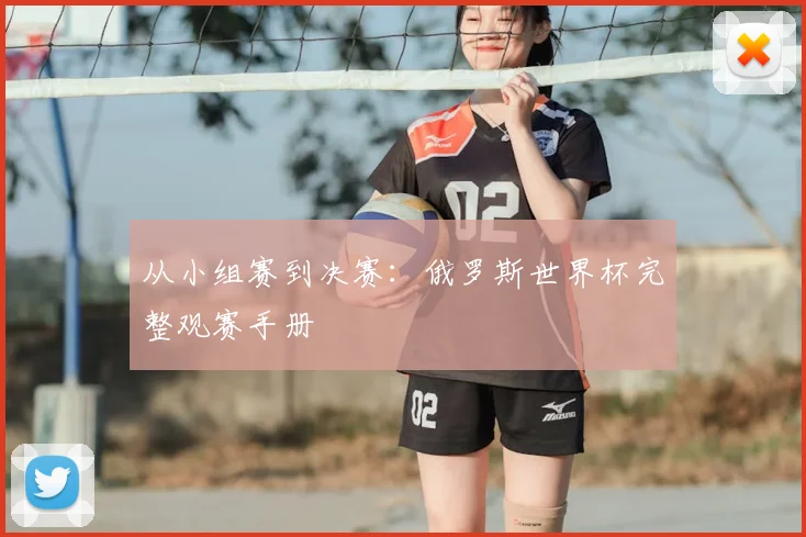 从小组赛到决赛：俄罗斯世界杯完整观赛手册