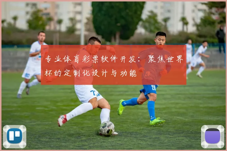专业体育彩票软件开发:聚焦世界杯的定制化设计与功能