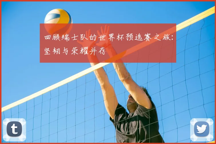 回顾瑞士队的世界杯预选赛之旅：坚韧与荣耀并存