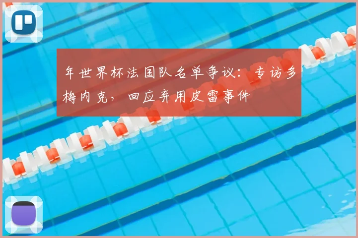 年世界杯法国队名单争议：专访多梅内克，回应弃用皮雷事件