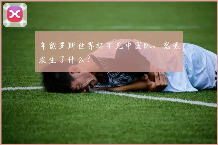 年俄罗斯世界杯不见中国队，究竟发生了什么？