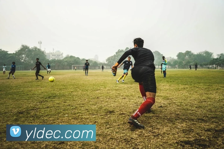 星空体育首页官网平台生态图